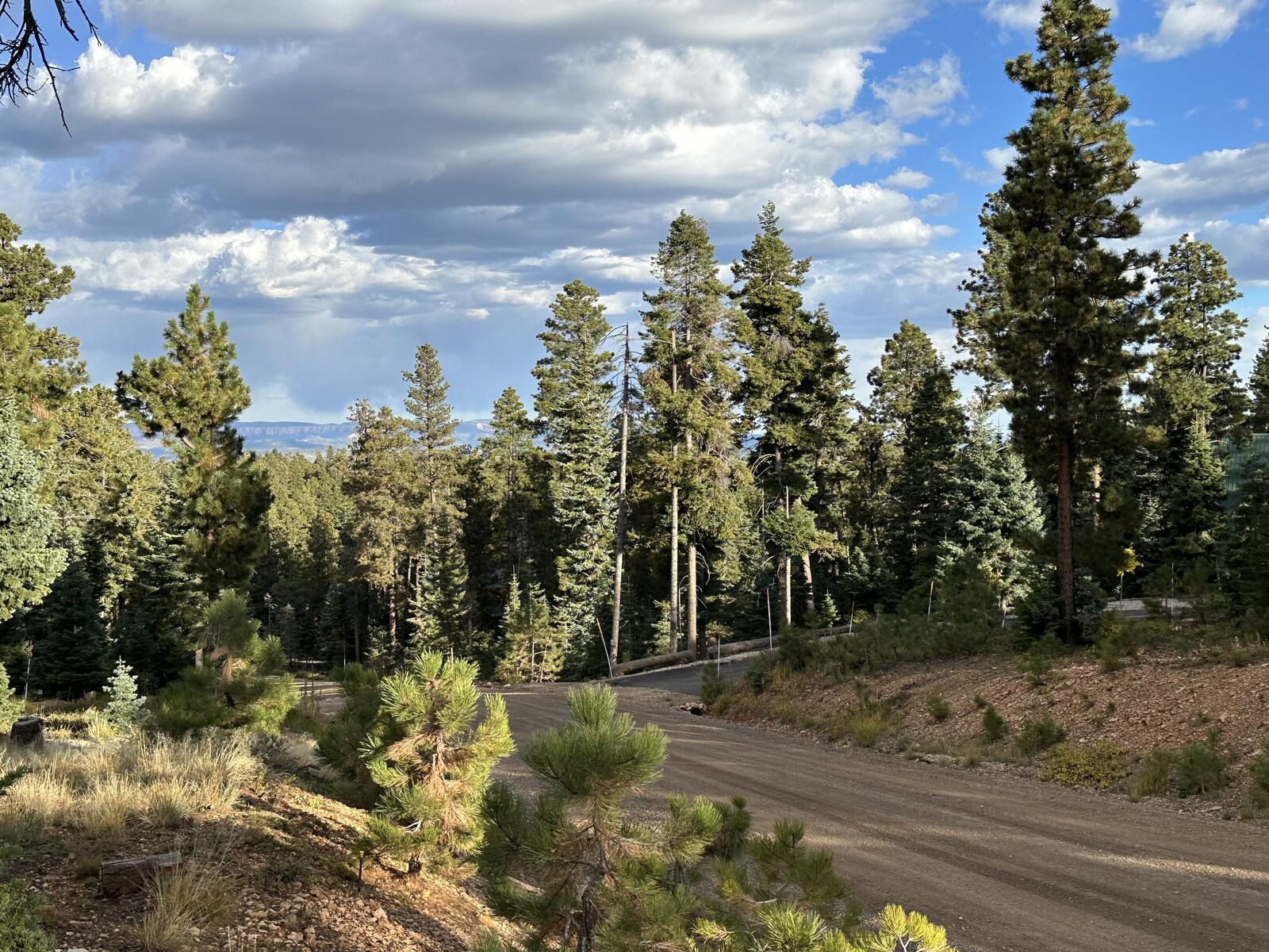 Property Photo:  1255 E Browning  UT 84762 