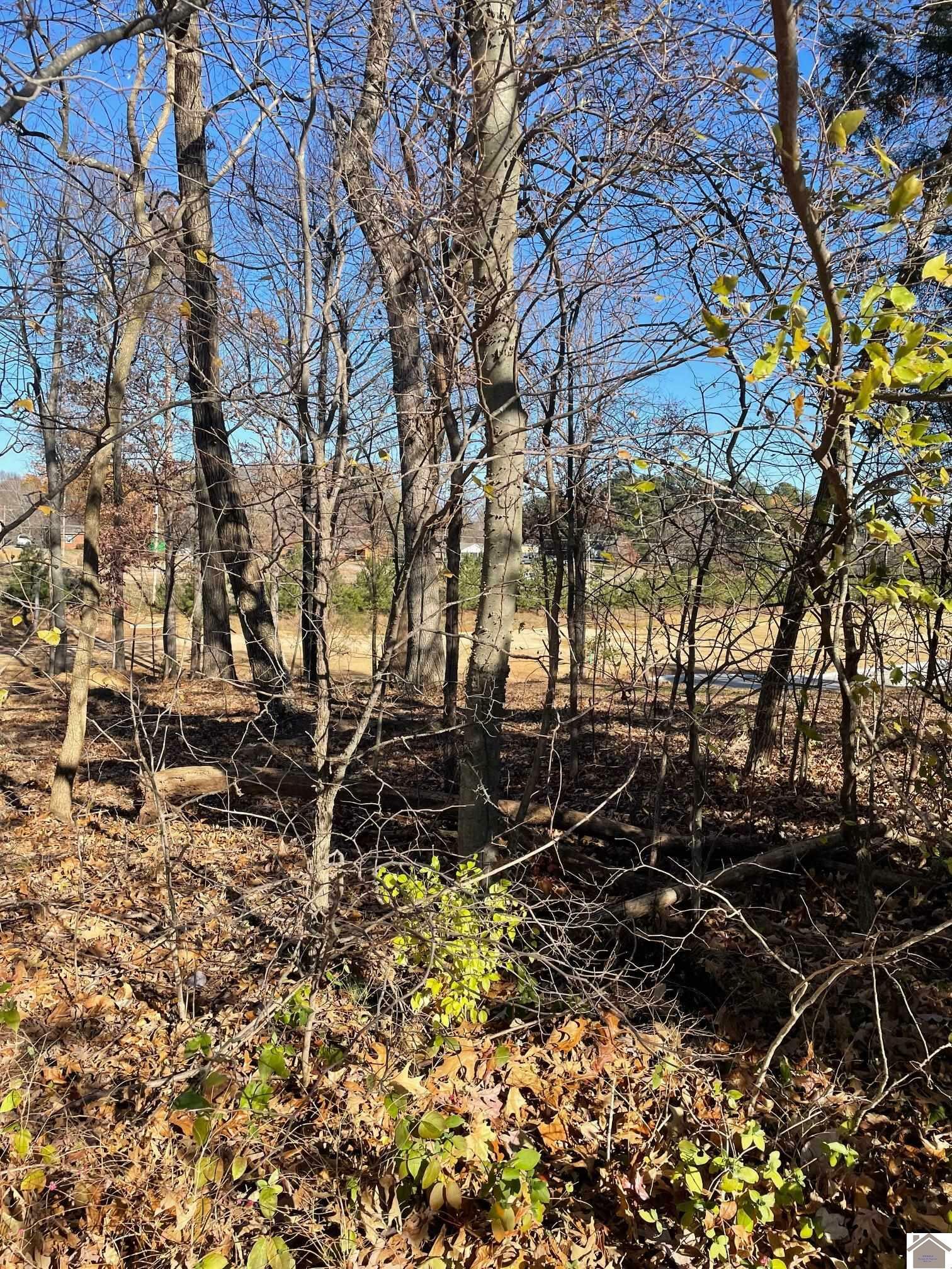 Property Photo:  Lot 84 Forest Ridge Drive  KY 42003 