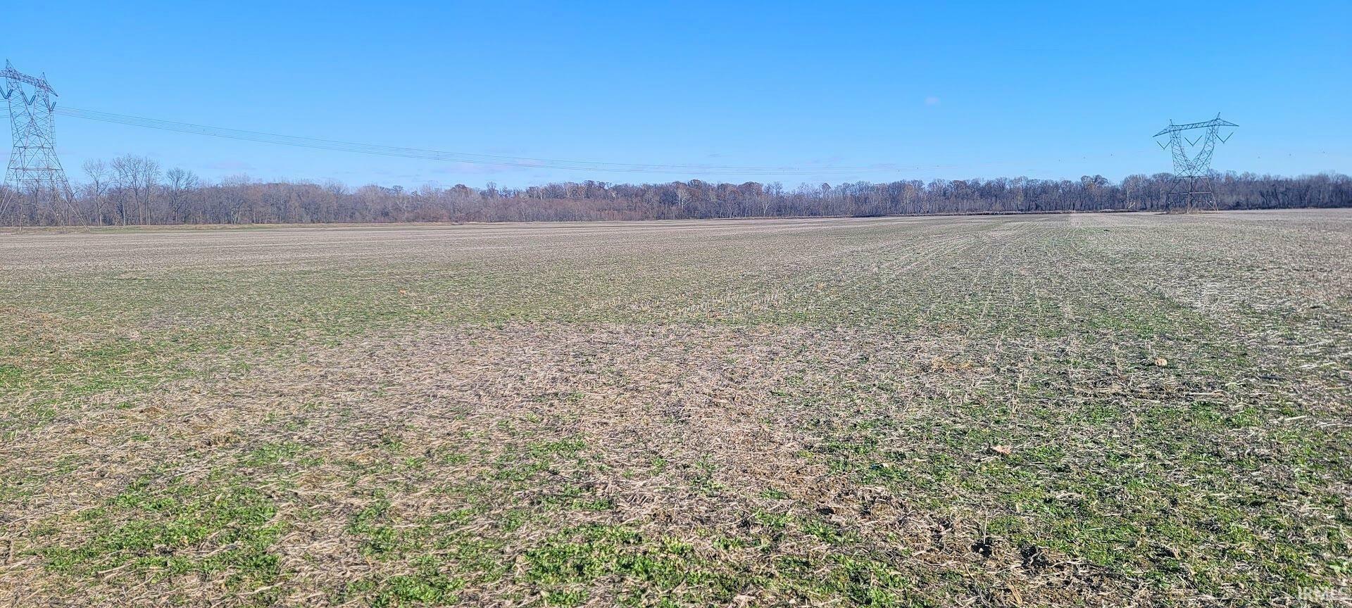 Property Photo:  219.79 Acres Off E Govenors Road  IN 47557 