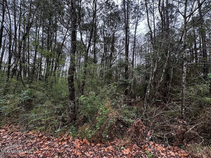 12310 Barbara Drive  Gulfport MS 39503 photo