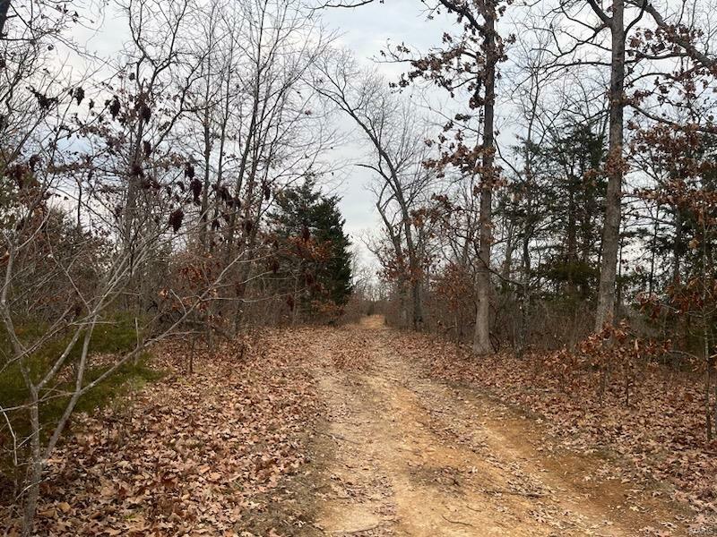 Property Photo:  0 125.87ac Tract A-2 Clear Creek Road  MO 63071 