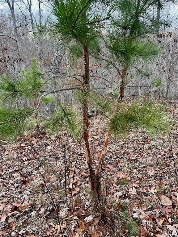 Property Photo: 0 125.87ac Tract A-2 Clear Creek Road MO 63071