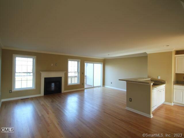 Property Photo:  1004 Briar Woods Lane 1004  CT 06810 