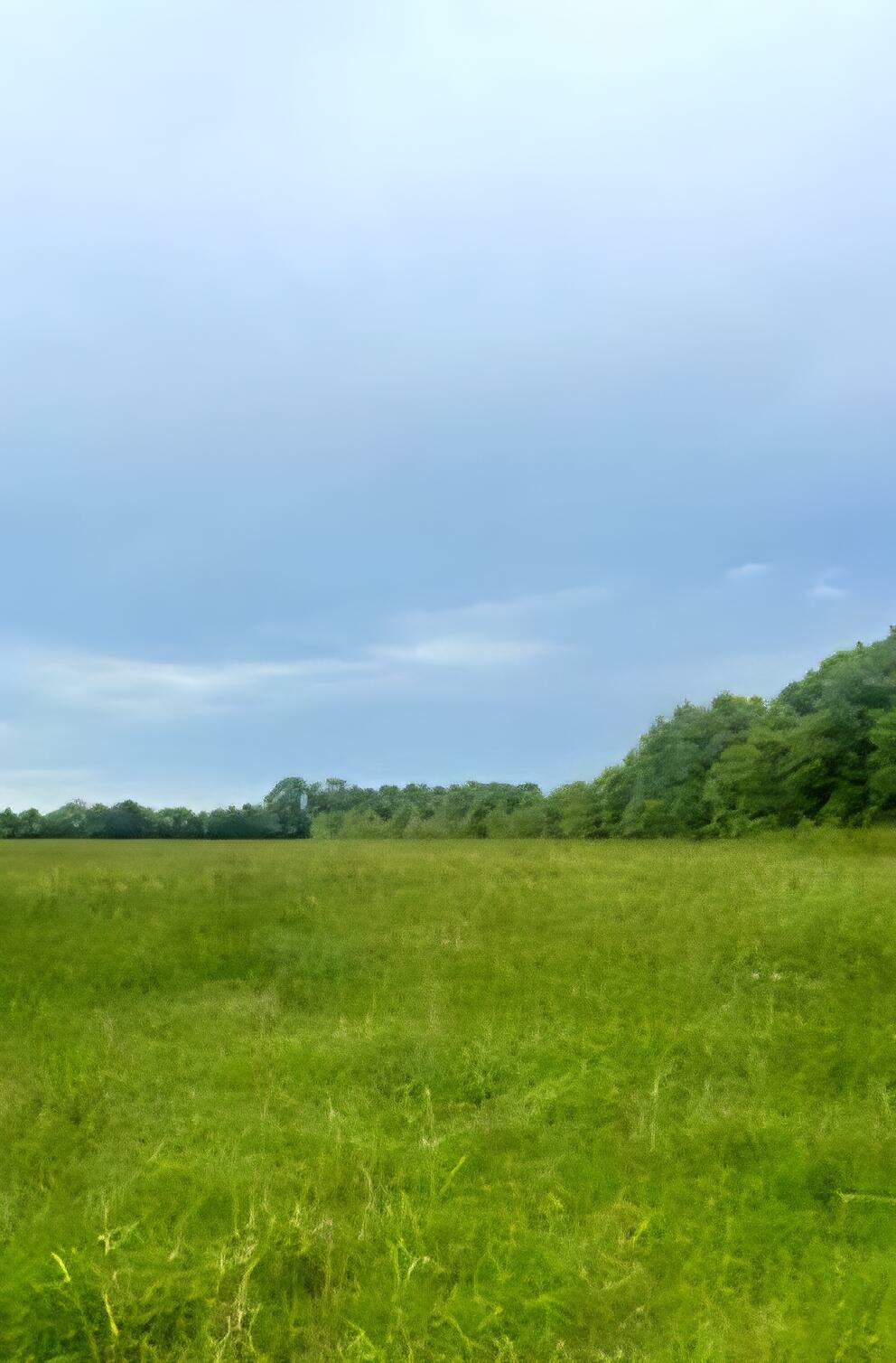 Property Photo: 682 Williams Road FL 32433