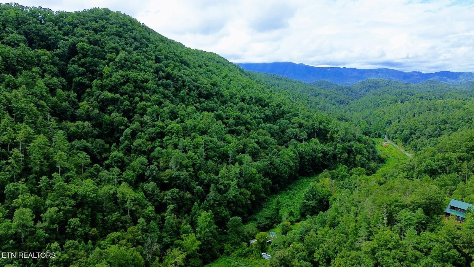 Property Photo:  Carrs Creek (38 Acres) Rd  TN 37882 