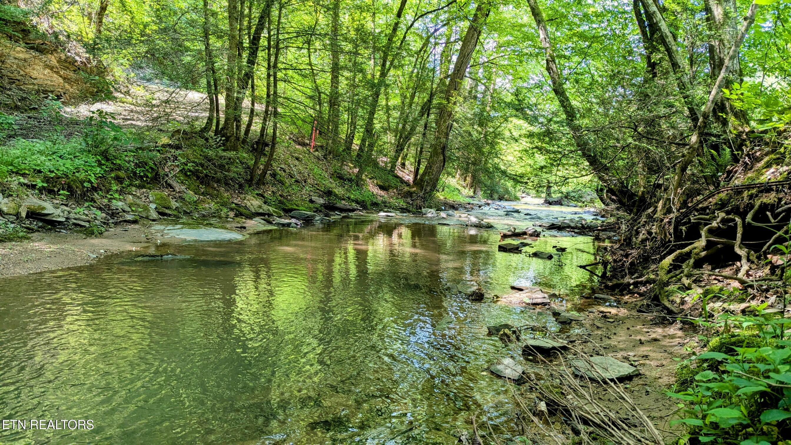 Property Photo: Carrs Creek Rd TN 37882