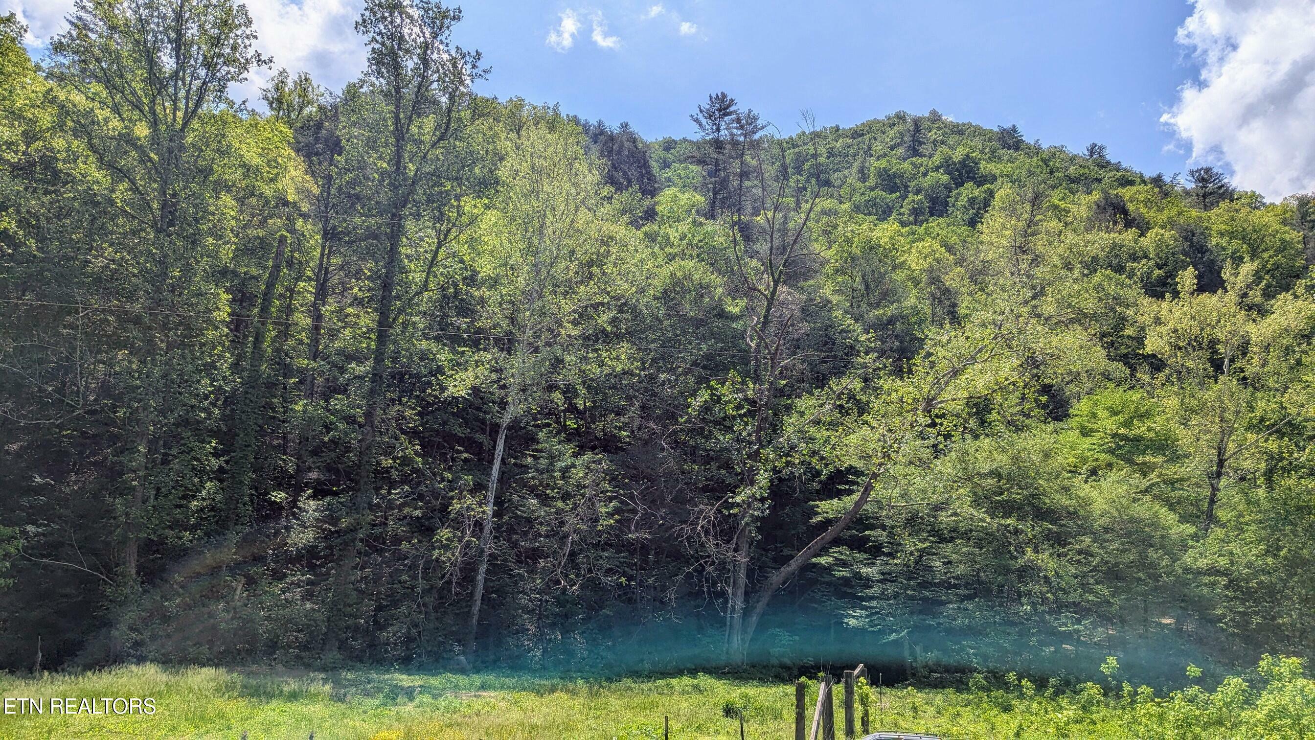 Carrs Creek Rd  Townsend TN 37882 photo