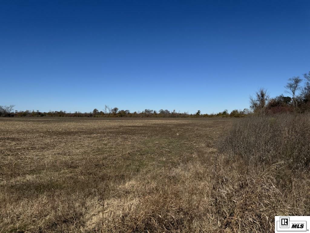 Property Photo:  000 Highway 144  AR 71653 