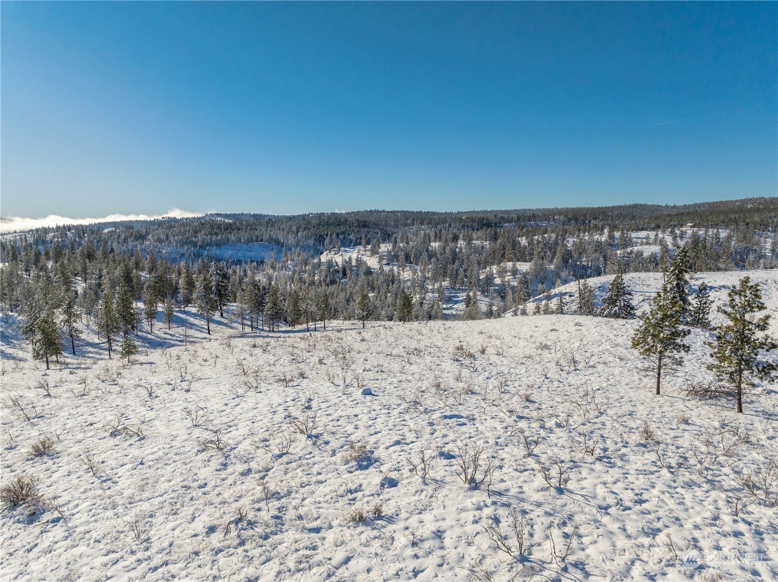 Property Photo:  123  Sawmill Road  WA 98816 