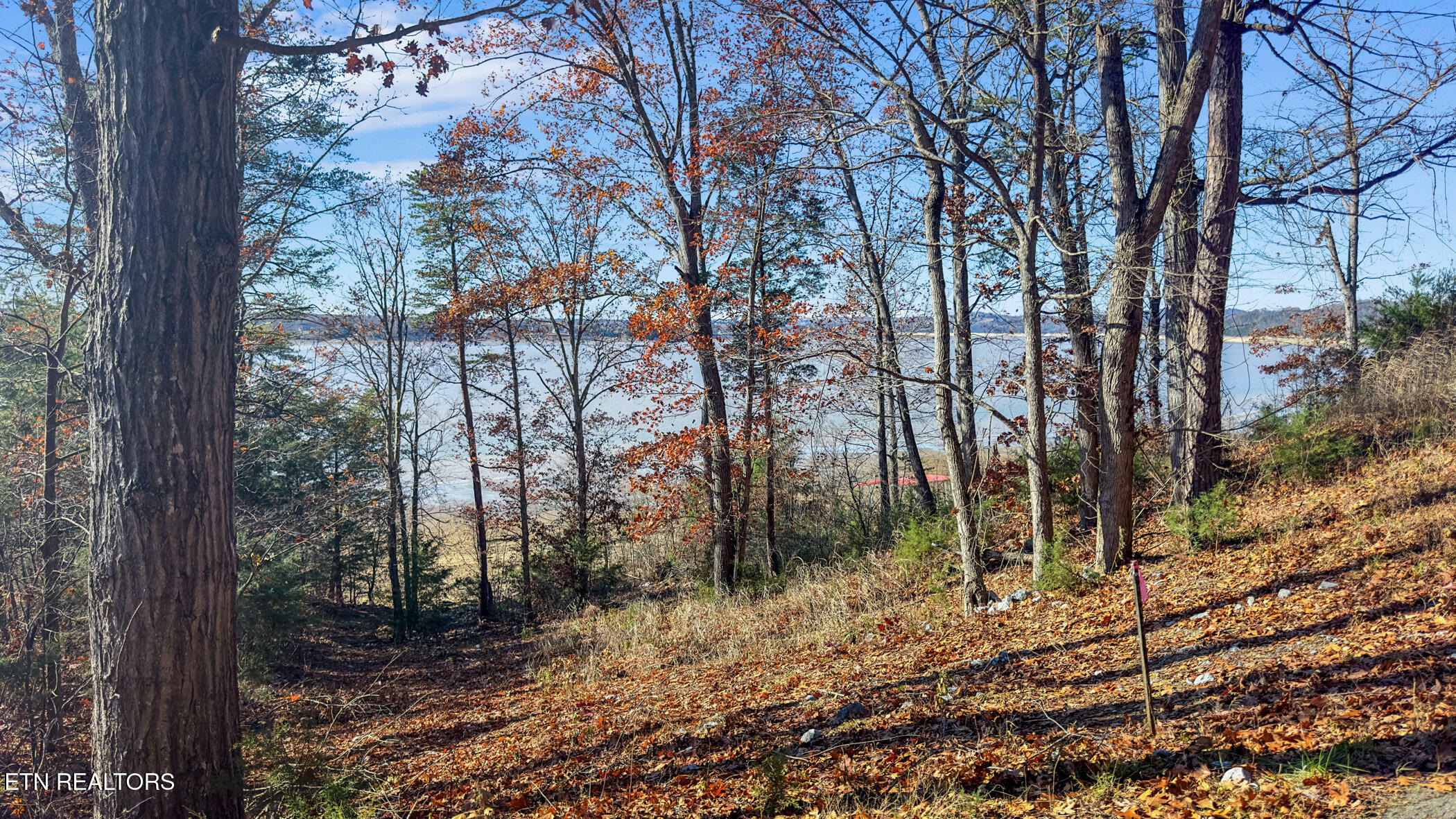 Property Photo:  Travelers Cove  TN 37890 