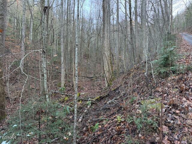 Property Photo:  Lot 5 High Ridge Way  TN 37862 