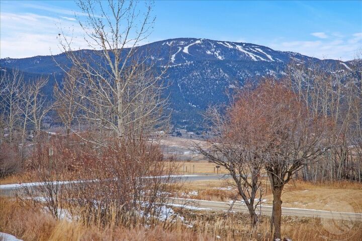 703 Cole Drive  Red Lodge MT 59068 photo