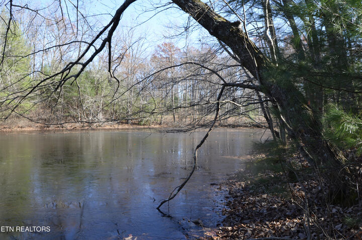 Property Photo: Sparta Hwy 31.64 +/- Acres TN 38555