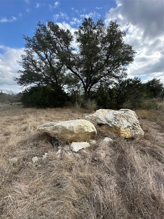 Property Photo:  409 Spicewood Trails Drive  TX 78669 