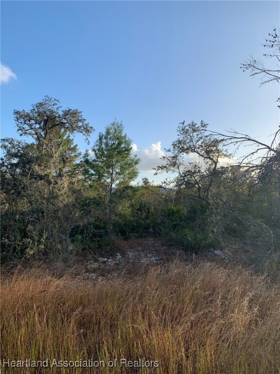 Property Photo: 2907 W Seville Drive FL 33825