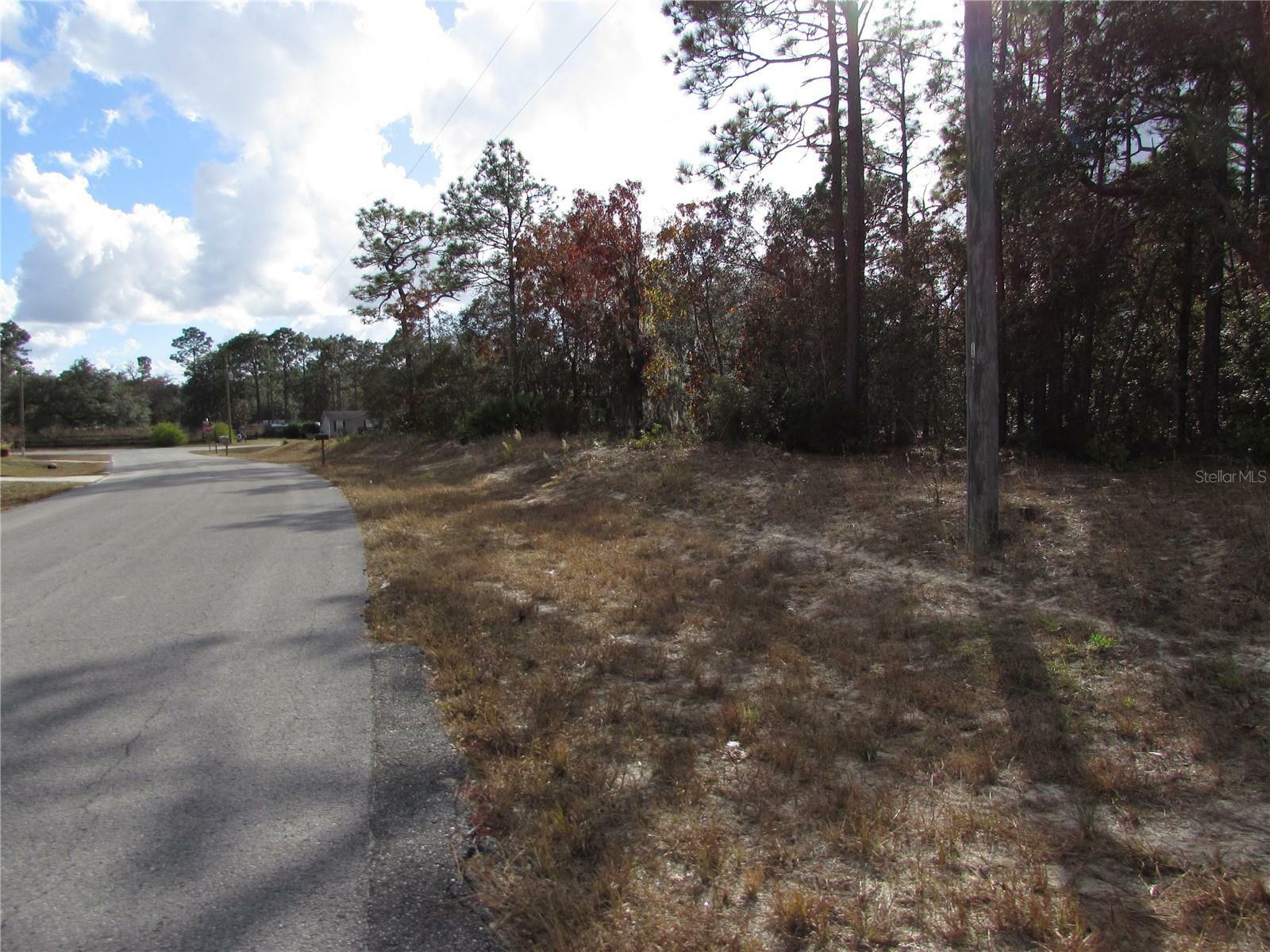 Property Photo:  Lot 5 &Amp 6 SW 168 Circle  FL 34481 