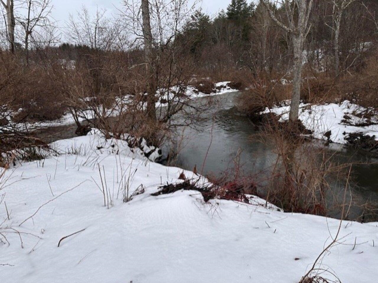 Property Photo: 00 Main Street VT 05647