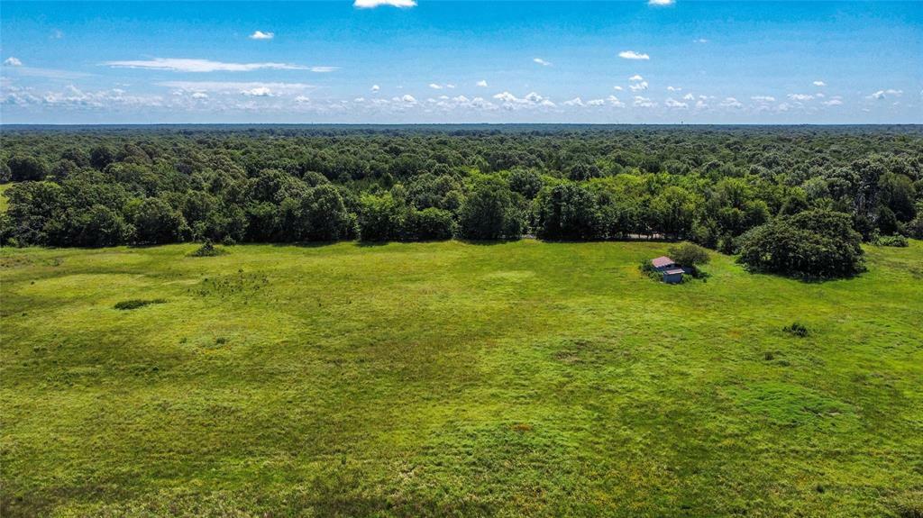 Property Photo:  8 Ac County Road 33800  TX 75460 