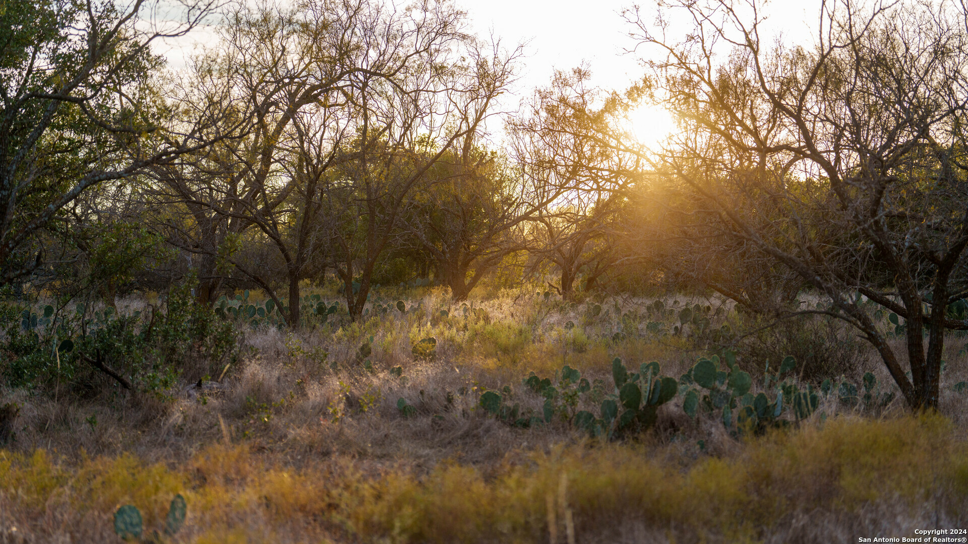 Property Photo: 000 Cr 122 TX 76825