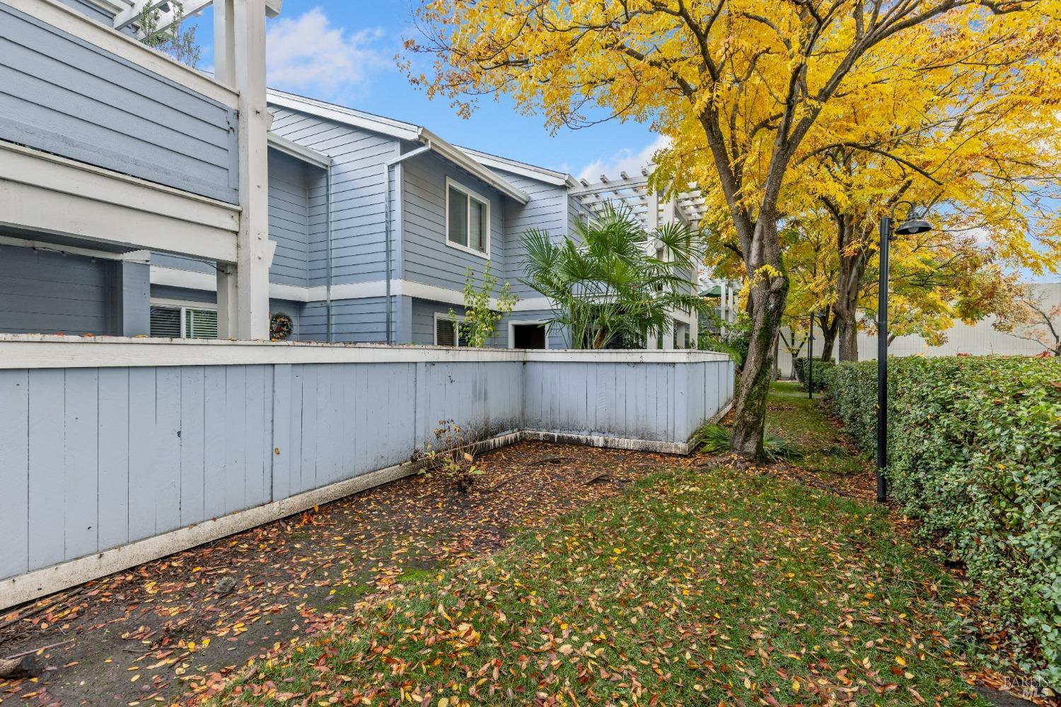 Property Photo:  225 Burt Street 7  CA 95407 