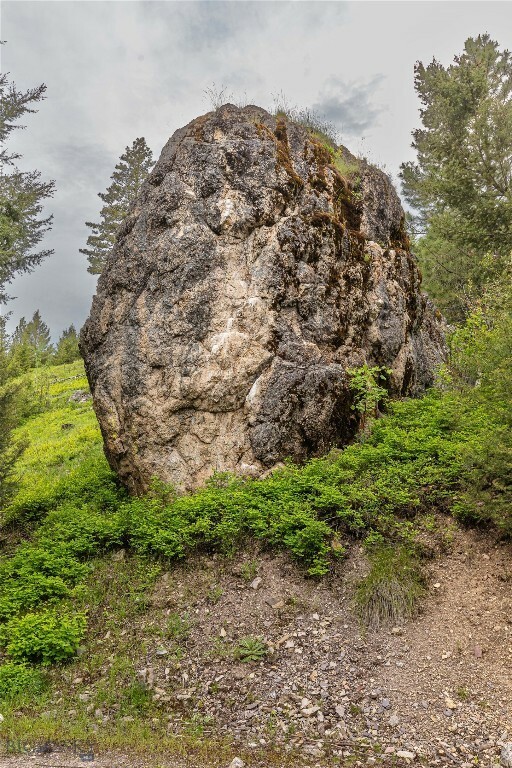 Property Photo:  4 Bull Elk Tracts  MT 59832 