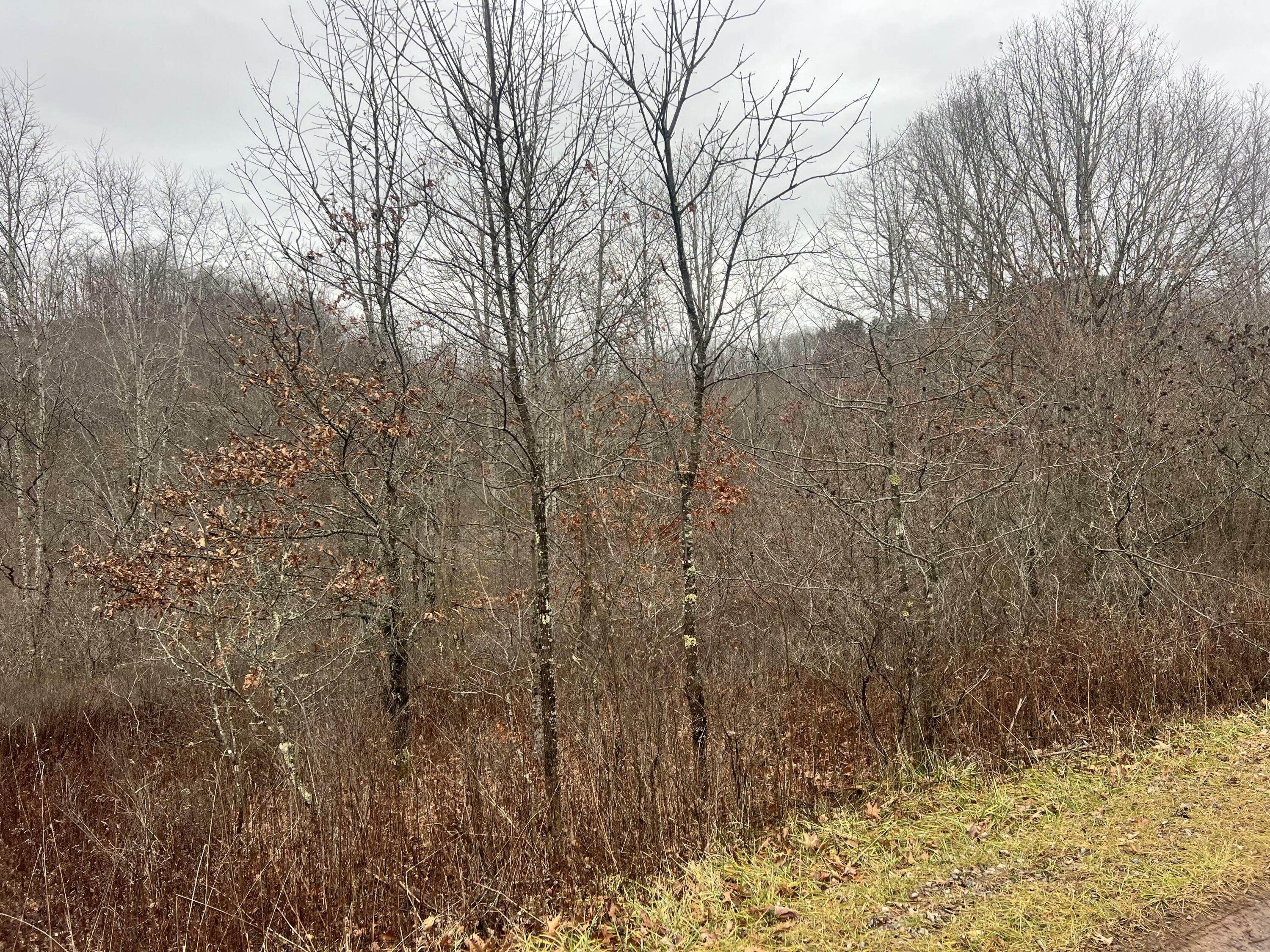 Property Photo:  High Meadows Lane  WV 24910 