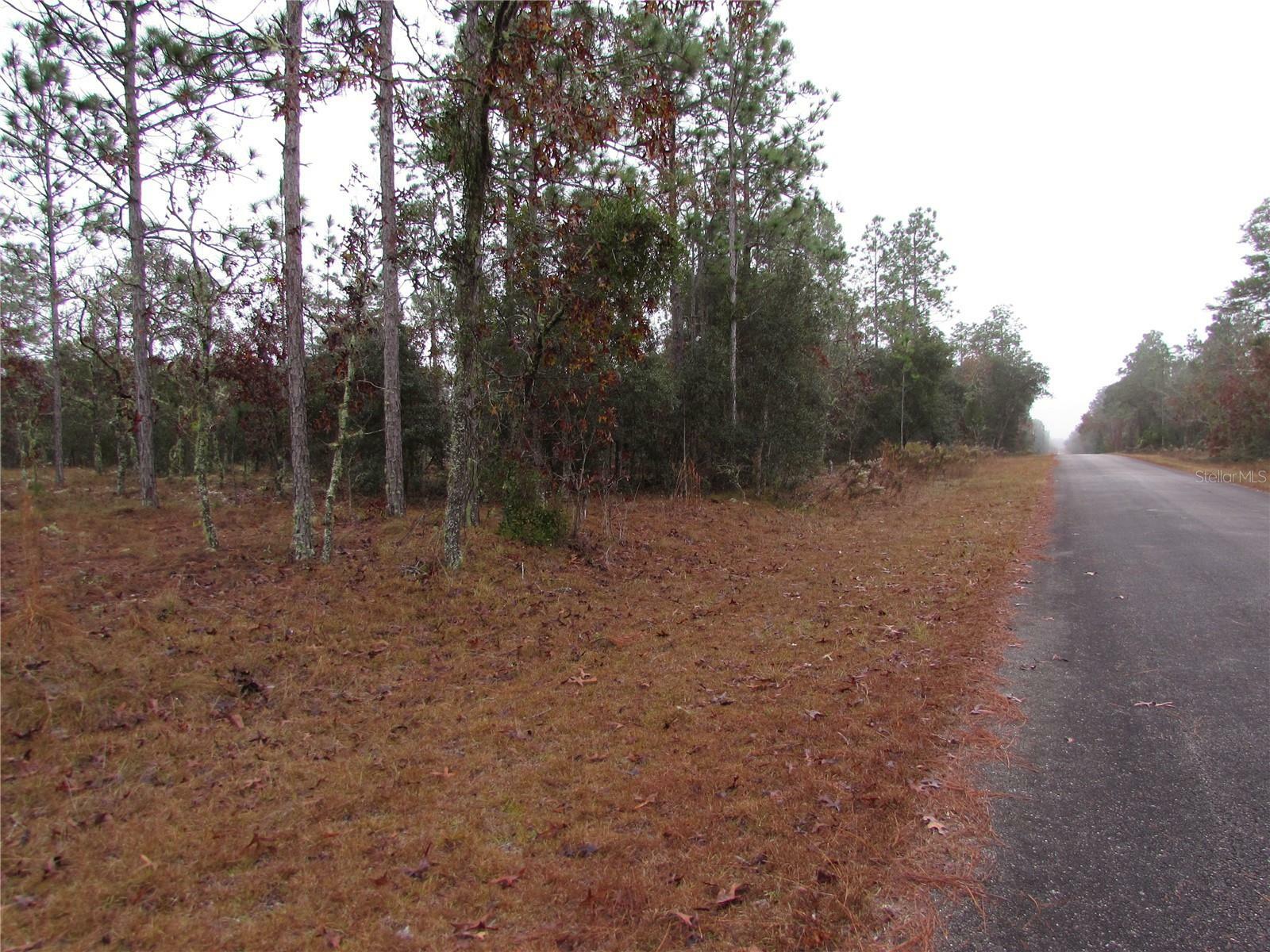 Property Photo:  Lot 57 SE 131 Terrace  FL 34431 