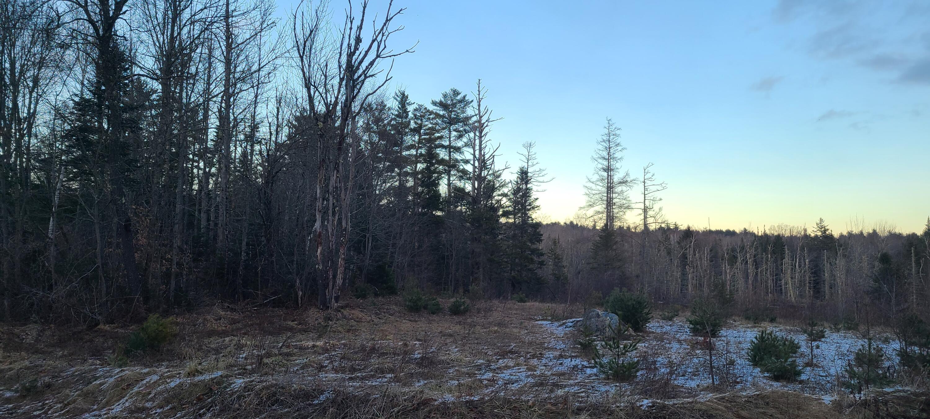 Property Photo: Map12lot24 Valley Road ME 04921