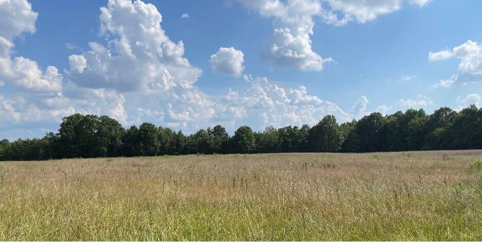 Property Photo: 3 Ruch Road TN 37398