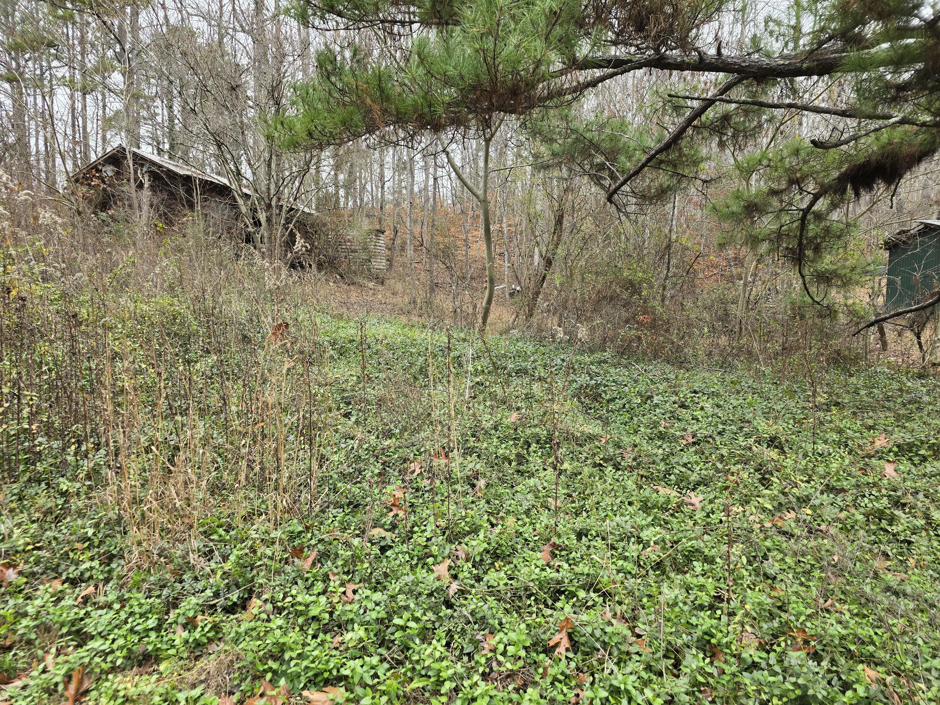 Property Photo:  127 County Road 179  TN 37322 