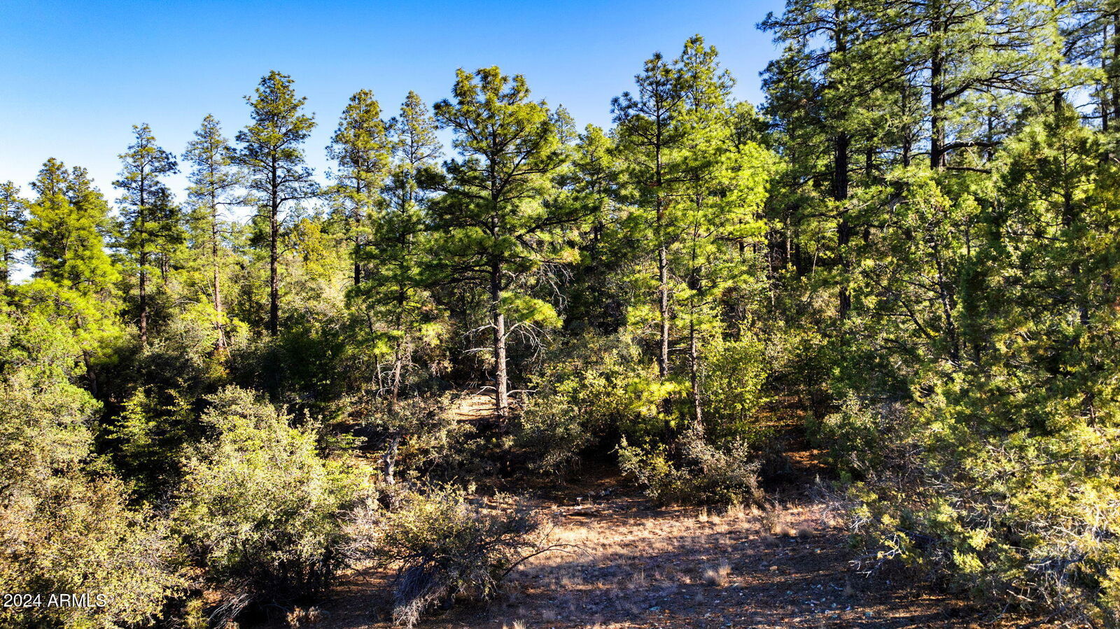 Property Photo: 1101 White Spar Road '-' AZ 86303