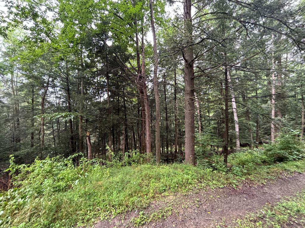 Property Photo:  0 Hickory Hill Rd  NY 14810 