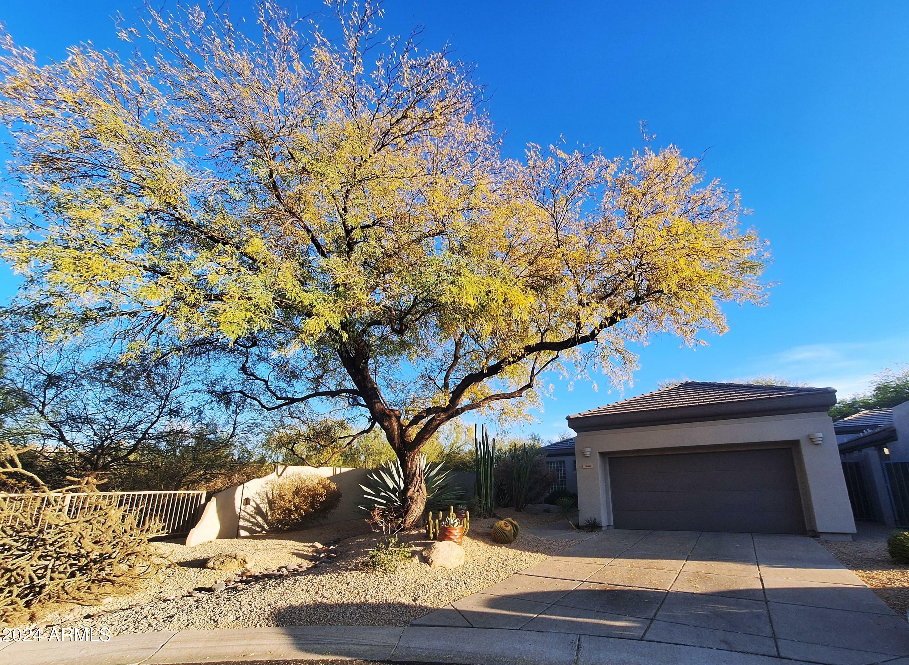 Property Photo: 7089 E Whispering Mesquite Trail AZ 85266