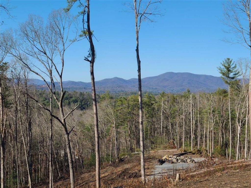 Property Photo:  1705 Old Northcutt Road  GA 30540 