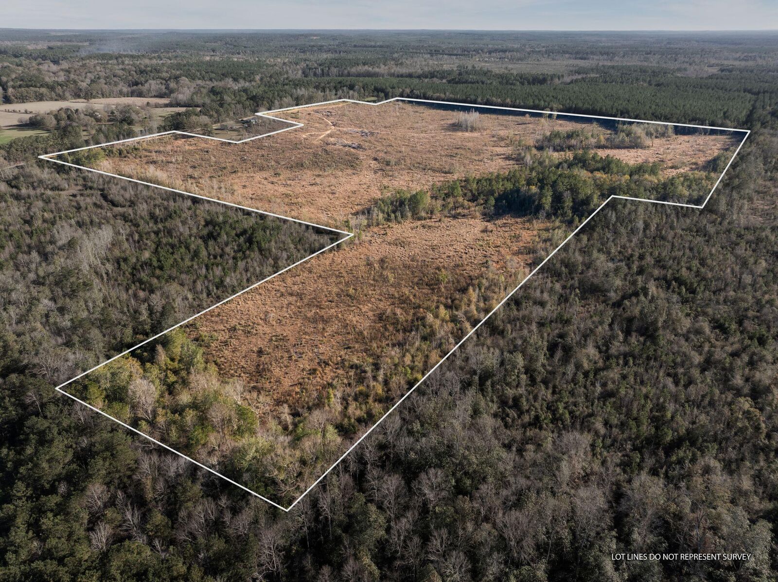 Property Photo: 84 Ac Hattie Ln. MS 39429