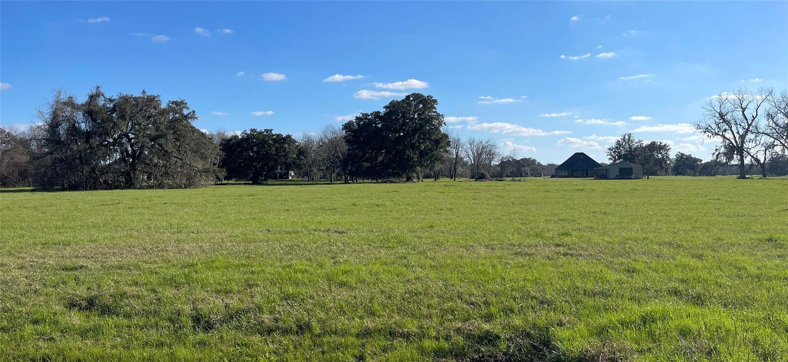 Property Photo:  1449 Prairie Court  TX 77515 