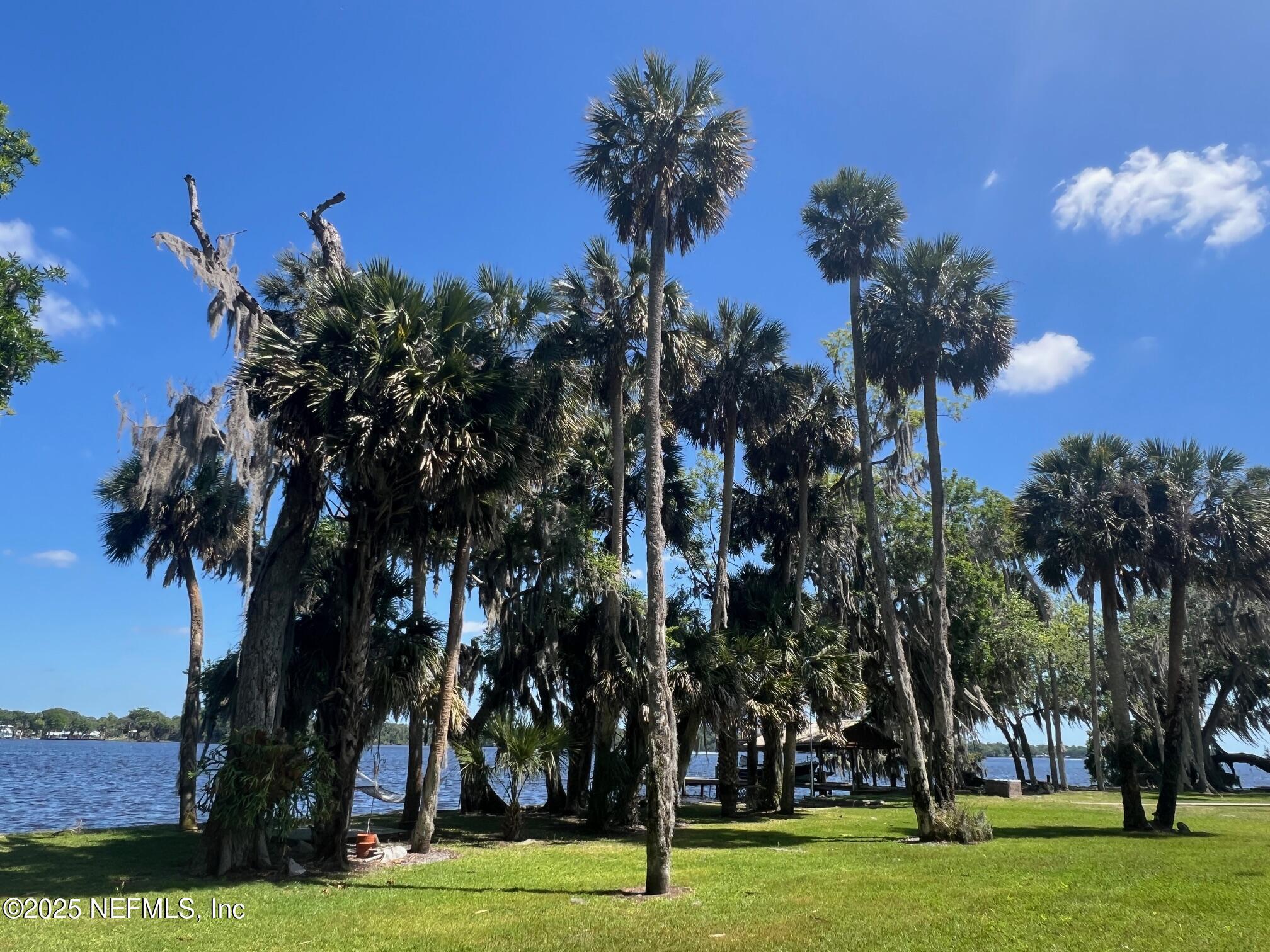Property Photo: 772 National Forest 75G Road FL 32177