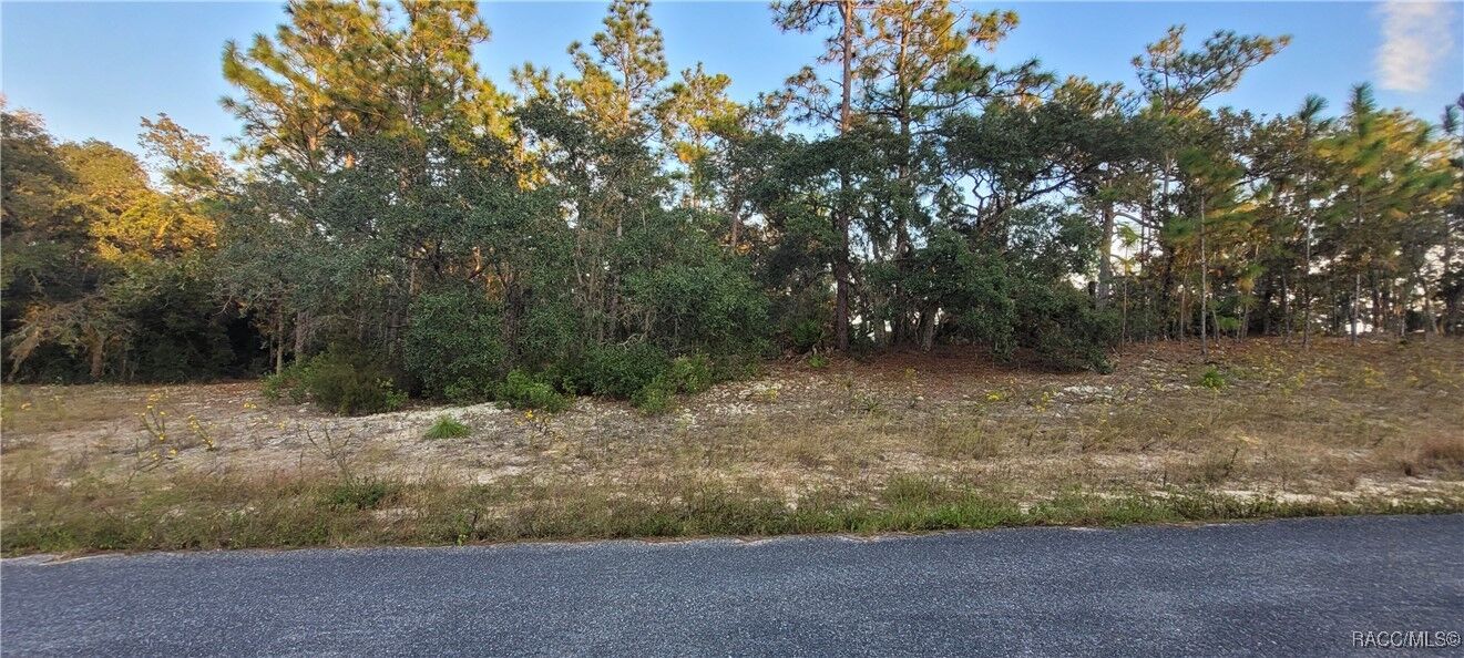Property Photo:  11373 N Kenney Loop  FL 34434 