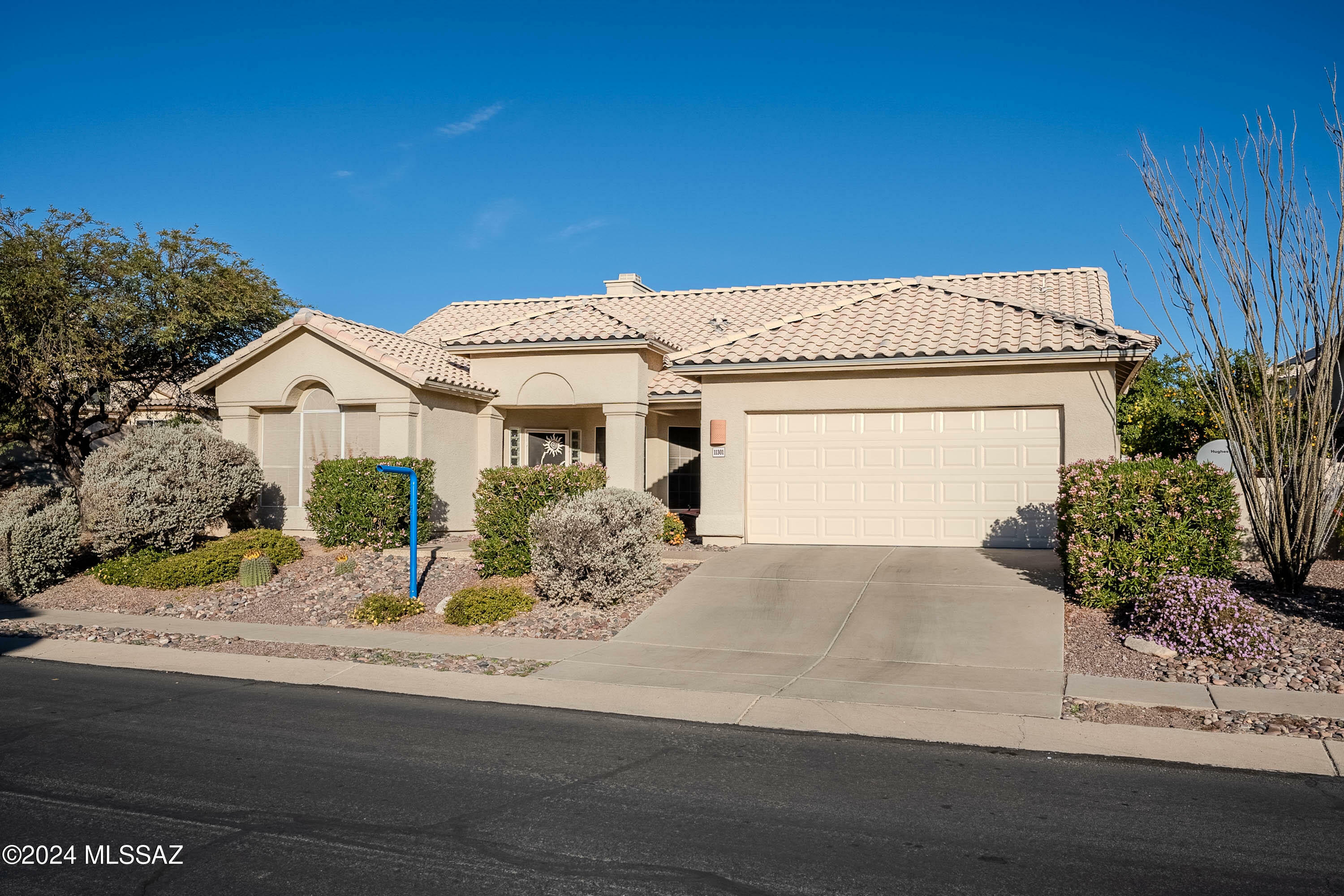 Property Photo:  11301 N Silver Pheasant Loop  AZ 85737 