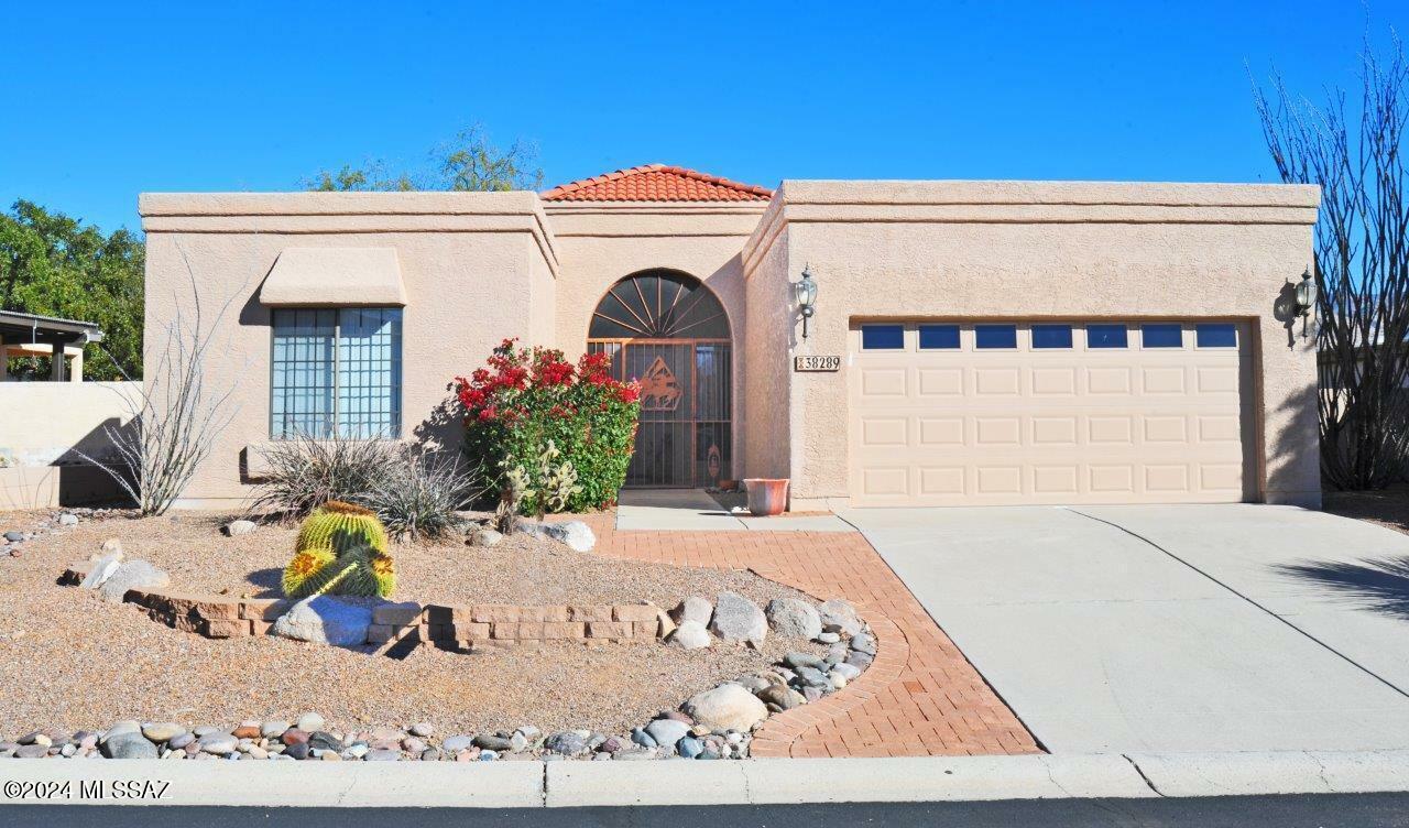 Property Photo:  38289 S Silverwood Drive  AZ 85739 