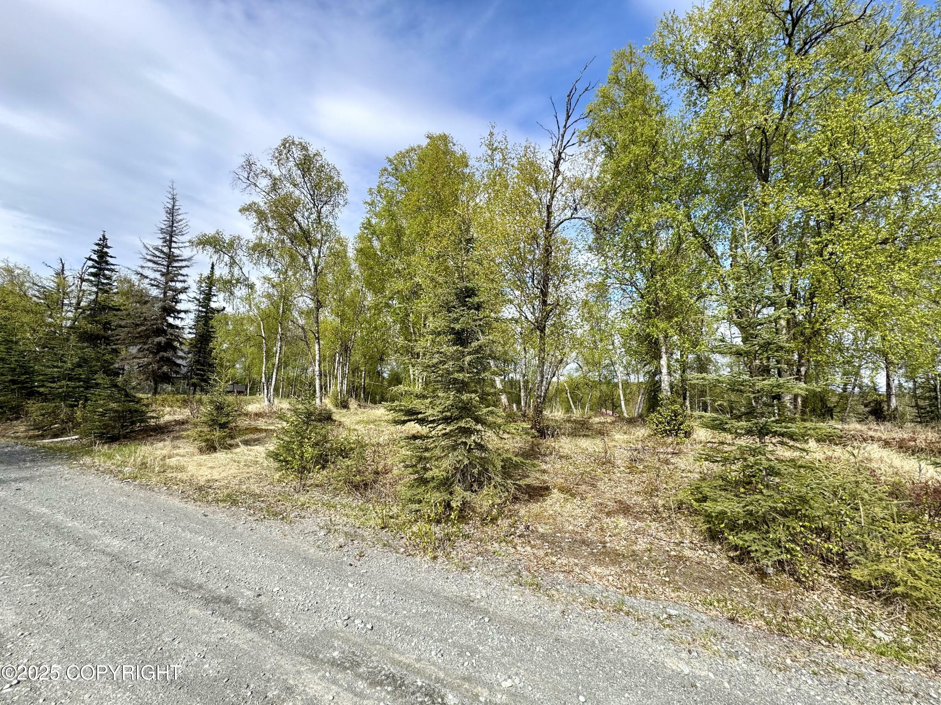 Property Photo: 125 Judy Lane AK 99669