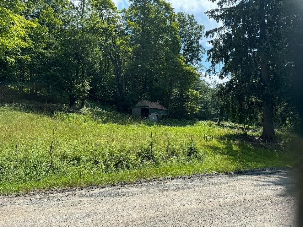 Property Photo:  130 William Law Road  NY 13865 