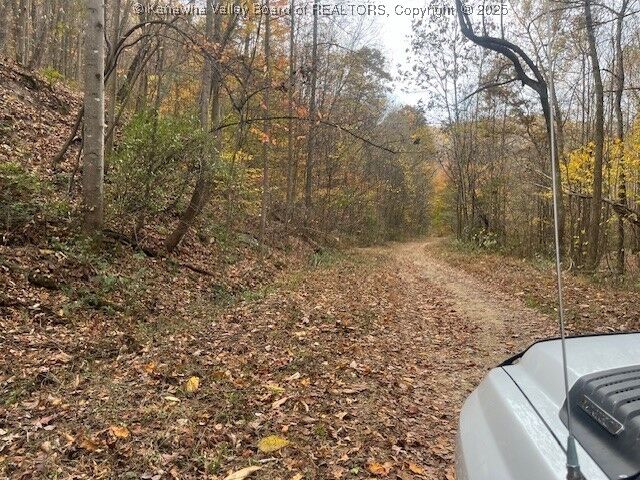 Property Photo:  0 Frozen Branch Road  WV 25039 