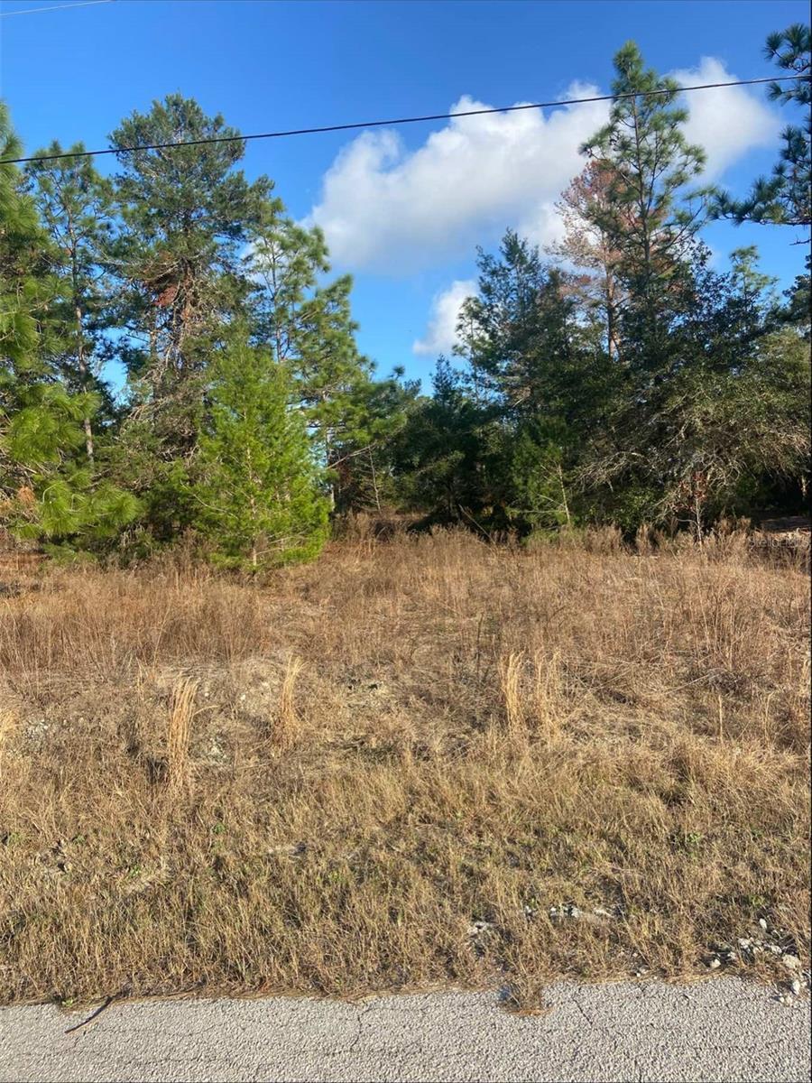 Property Photo: Tbd SW Gardenia Court FL 34431