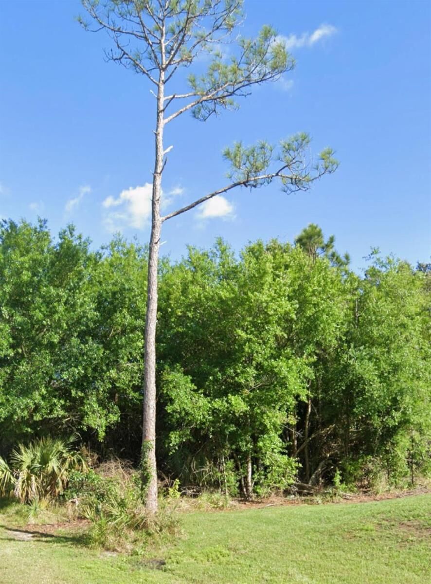 Property Photo: 23509 Branch Avenue FL 33980