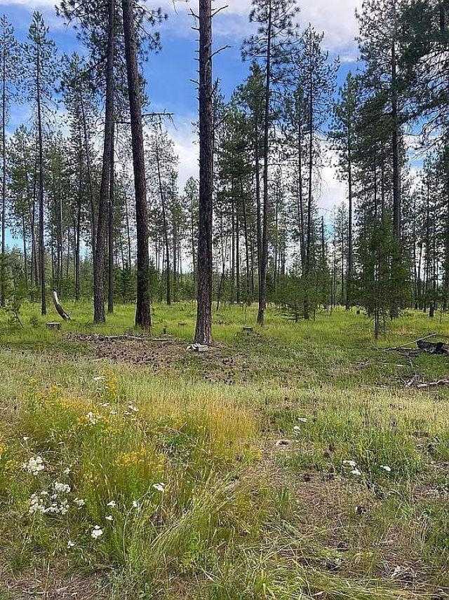 Property Photo:  151xx E Oregon Rd Parcel 49111.9067  WA 99009 