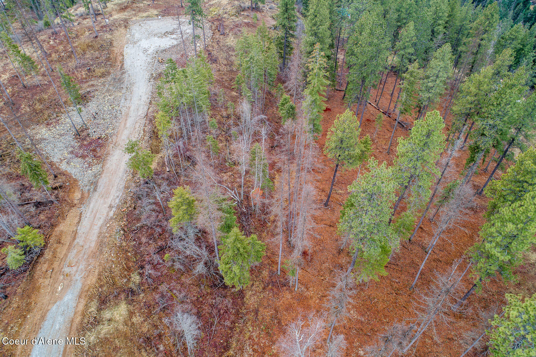 Property Photo:  Lt 3 Blk 1 Red Hawk Landing  ID 83860 