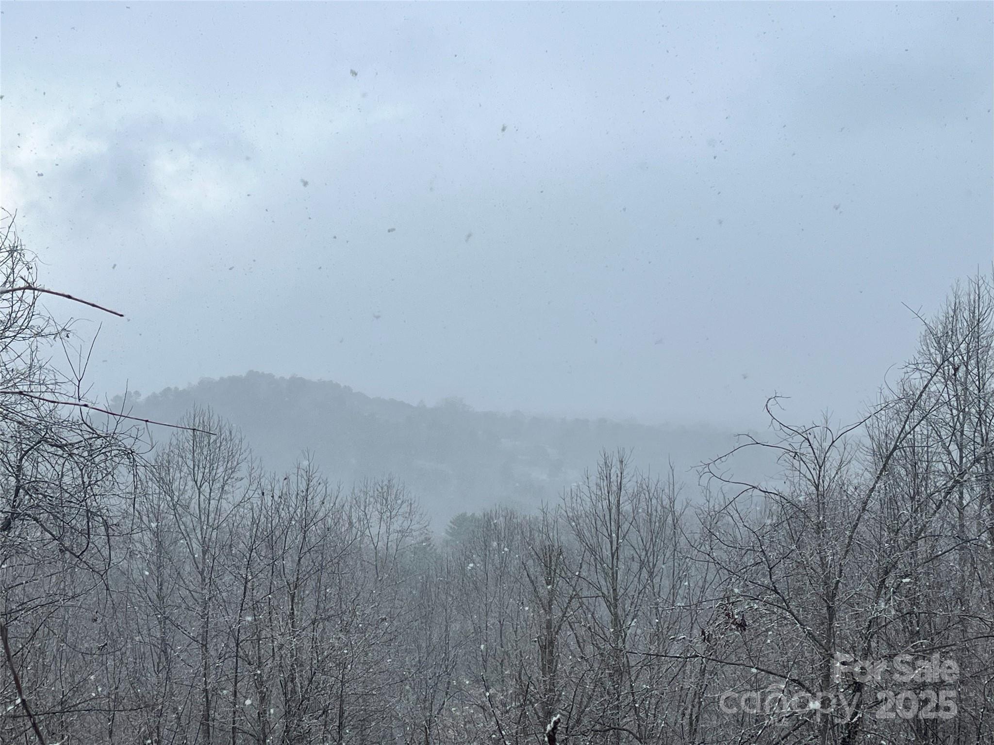 Property Photo: 49 Ben Lippen School Road 2/Ph1a NC 28806