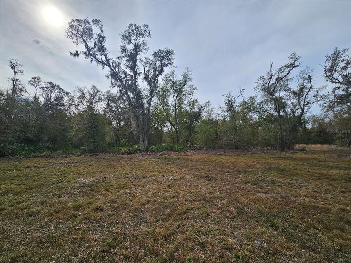 Property Photo: Candis Rd FL 33565