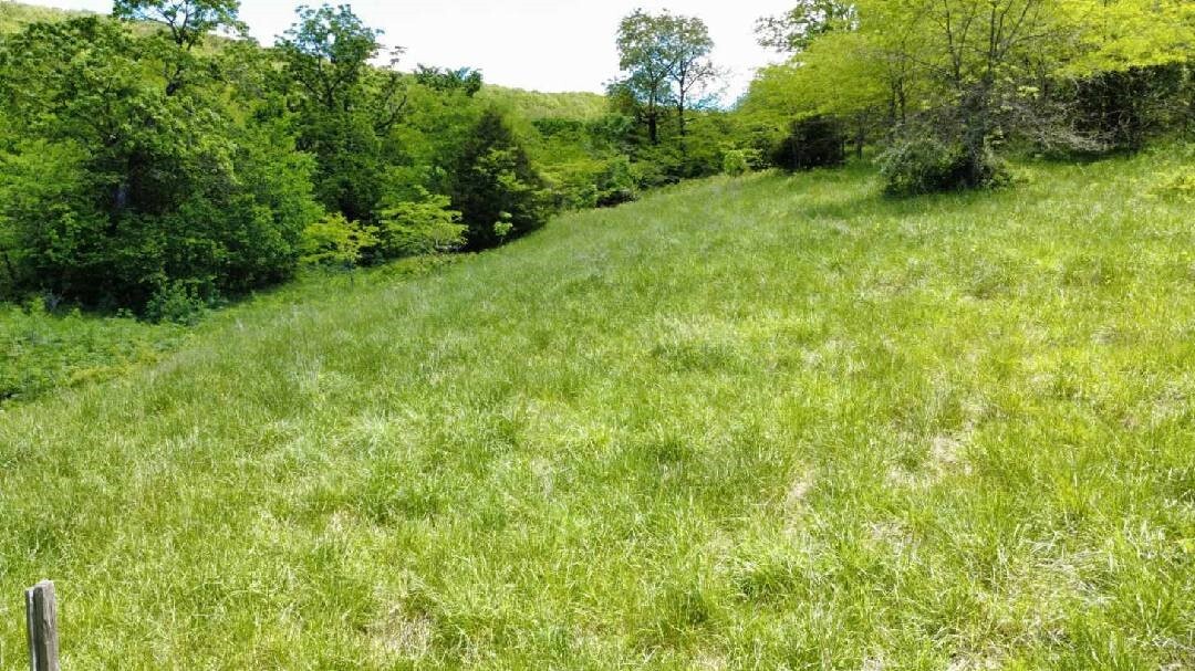 Property Photo:  530 Cr-605  AR 72638 